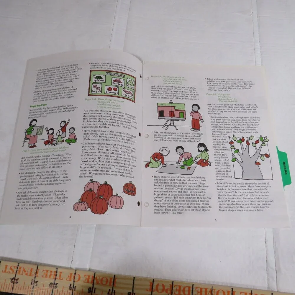 Sort It Out BIG BOOK (almost 2 feet tall) with teacher pages CLASSROOM SIZE